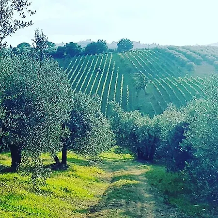Sant'ellero Holiday home San Casciano in Val di Pesa