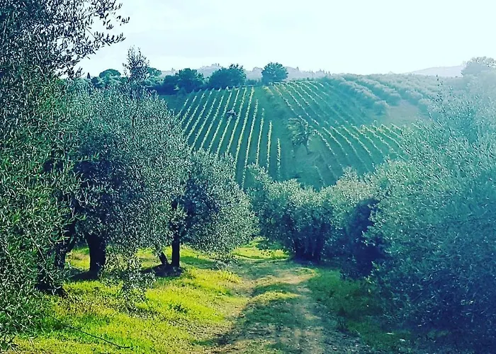 Sant'ellero 別荘 サン・カシャーノ・イン・ヴァル・ディ・ペーザ